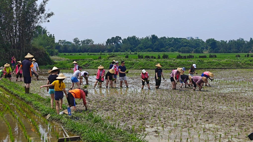 20240413 MJ Gasket Charity Event Love Rice Field 3