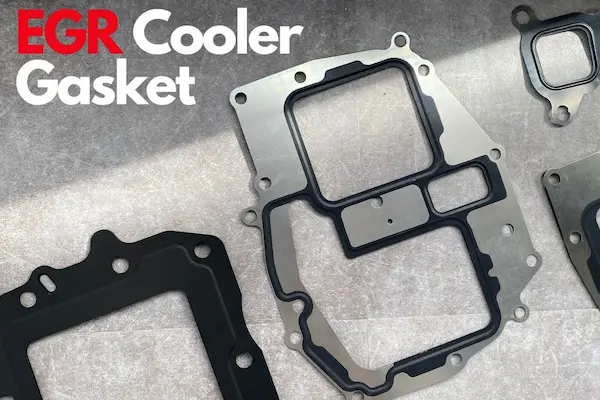 EGR Cooler Gasket for Diesel Engine