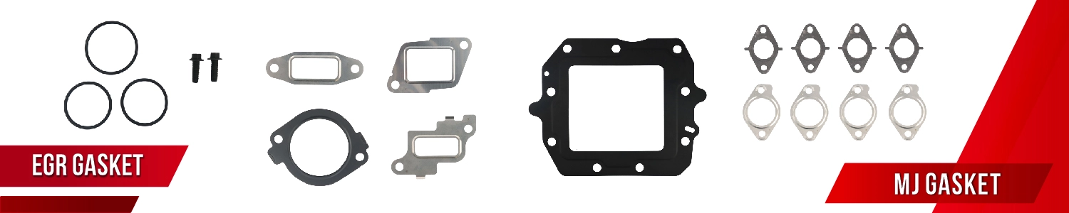 EGR Gasket