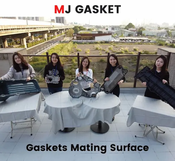 MJ GASKET – Gaskets Mating Surface