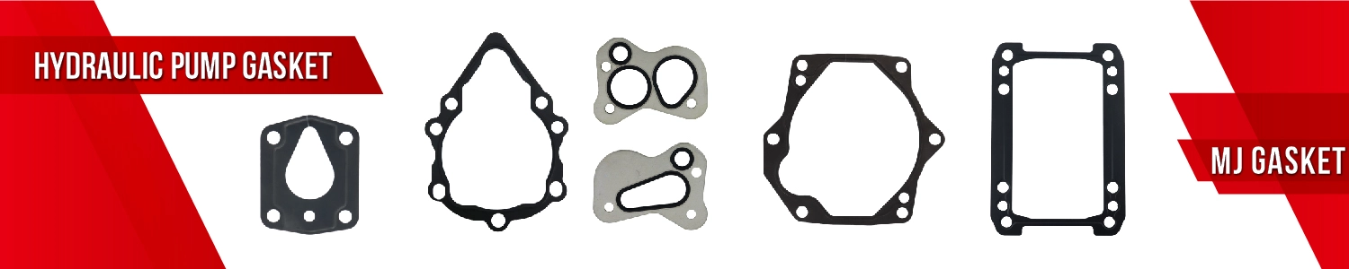 Hydraulic Pump Gasket