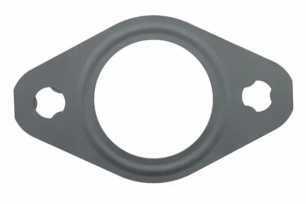 MoS2 Coating Gaskets
